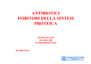 antibiotici inibitori della sintesi proteica