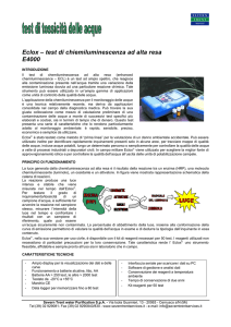 Eclox – test di chiemiluminescenza ad alta resa E4000