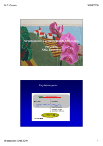 Circuiti genetici e programmabilità della cellula Pia Cosma CRG