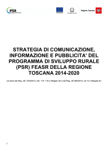 8_Strategia Informazione e Pubblicità 2014 - 2020