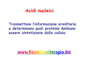 Acidi nucleici - Fisiokinesiterapia