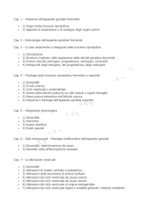 Cap. 1 – Anatomia dell`apparato genitale femminile 1) Organi della