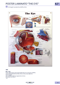 6.7 POSTER LAMINATO “THE EYE”