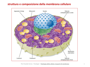 a2 fisiologia della cellula trasporti di membrana