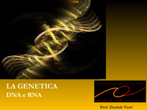 DNA e RNA - MOMENTI DI CULTURA