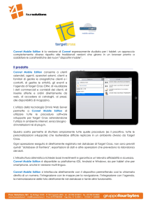 Connet Mobile - Progetto Dati