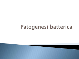 10-CLID-Patogenesi batterica
