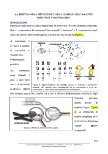 Leggi ancora - Centro di Coordinamento Malattie Rare in Regione