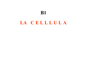 b1 la celllula - Liceo Scientifico Statale Vito Volterra