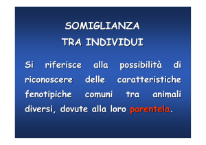 Diapositiva 1 - UniNa STiDuE