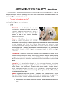 VACCINAZIONI ceval - Centro Veterinario Alto Lambro