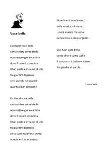 testo pdf - Tullio Visioli