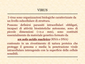 Virus-gen - Sezione di Microbiologia