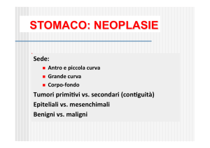 3e. Stomaco Neoplasie