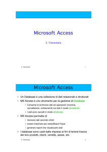 Uso di MS Access