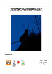 piano di valutazione e riduzione dell`impatto delle linee elettriche