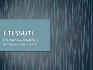 I TESSUTI
