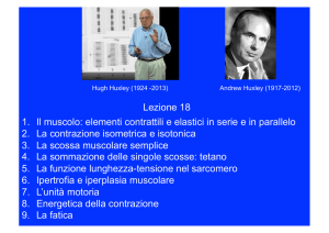 1. Il muscolo: elementi contrattili e elastici in serie e in parallelo 2. La