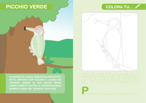 LIBRETTO ANIMALI 29 DIC ok_1.indd