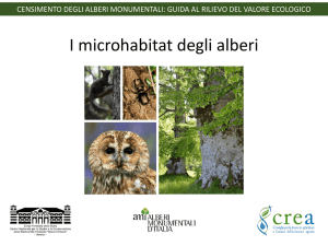I microhabitat degli alberi
