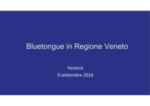 Bluetongue in Regione Veneto