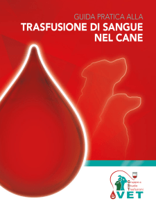 TRASFUSIONE DI SANGUE NEL CANE