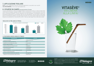 Clicca per scaricare il leaflet di Vitasève.