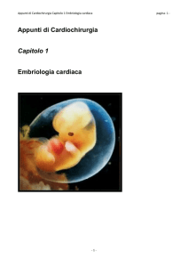 Appunti di Cardiochirurgia Capitolo 1 Embriologia cardiaca