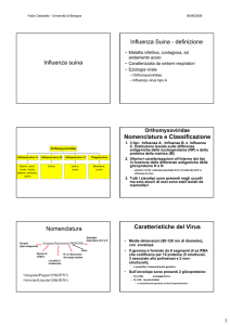 Influenza suina