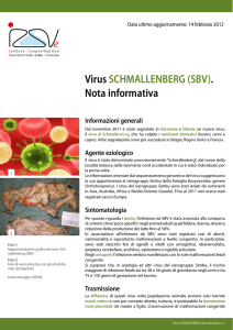 Nota informativa Virus Schmallenberg