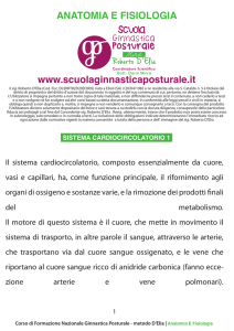 anatomia e fisiologia - Scuola Ginnastica posturale