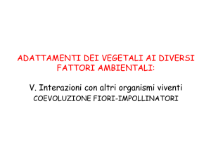 Lez11_Adattamento vegetali all`ambiente2014