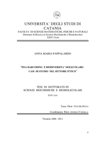 universita` degli studi di catania