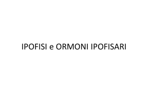 3-IPOFISI e ORMONI IPOFISARI