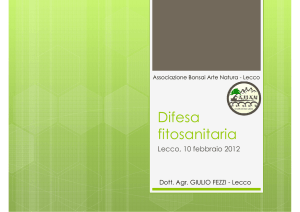 Difesa fitosanitaria - Circolo Bonsai Lecco