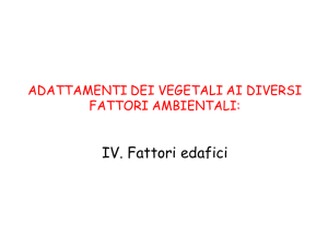 Lez9_Adattamento vegetali all`ambiente2014