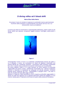 Il diving reflex ed il blood shift - Uno specialista in medicina del