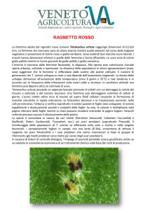 Diapositiva 1 - Veneto Agricoltura