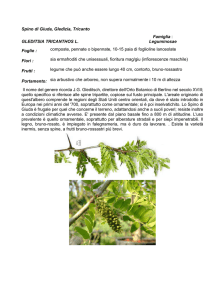 alberi e arbusti - Istituto Serpieri Bologna