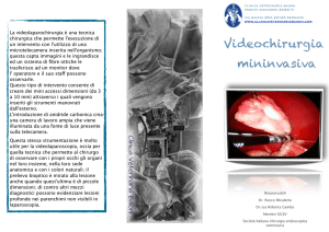 Scarica la brochure - Clinica Veterinaria Baioni