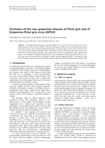 Evolution of the new grapevine disease of Pinot gris and of