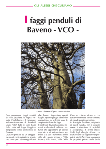 I faggi penduli di Baveno - VCO - Fito