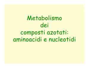 Metabolismo dei composti azotati: aminoacidi e nucleotidi