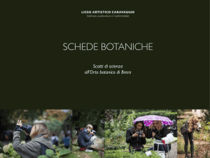 schede botaniche - Liceo Artistico Caravaggio