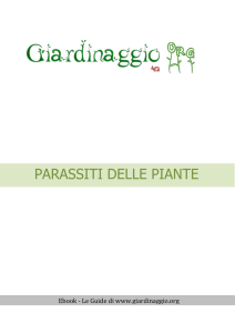 Parassiti delle piante