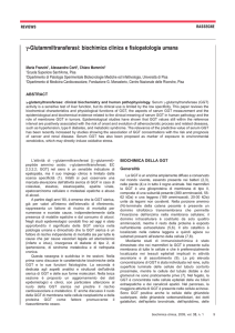 γ-Glutammiltransferasi: biochimica clinica e fisiopatologia umana