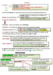 IL FUSTO (scienze) - AiutoDislessia.net