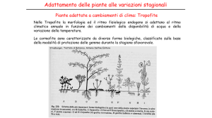 Adattamento delle piante alle variazioni stagionali