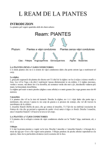 il regno delle piante - Scuola Ladina di Fassa