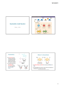 Nucleotidi e Acidi Nucleici